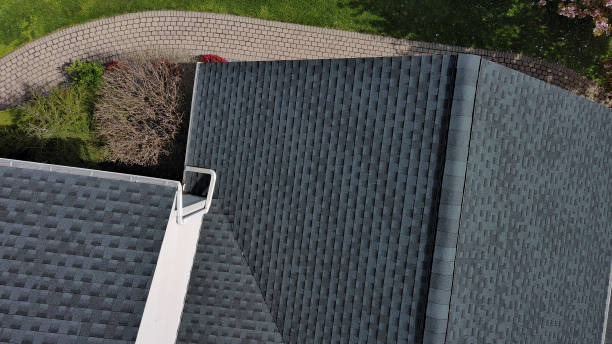 Best Roof Leak Repair  in Balcones Heights, TX